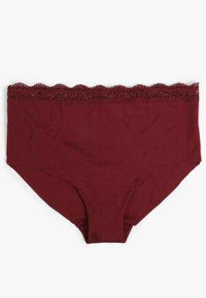 Invisibliss High Waist Lace Trim Hipster Panty