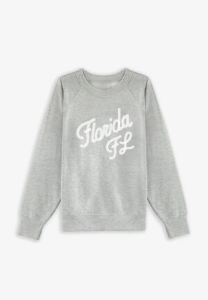 Plus Size State Embroidered Crew Neck Sweatshirt